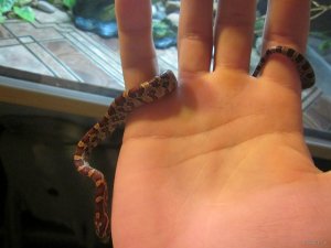 IMG_0103.JPG
