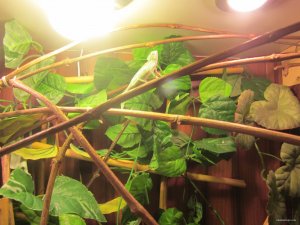IMG_0133.JPG