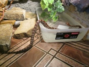 IMG_0159.JPG