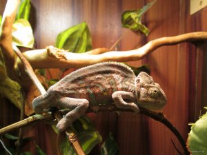 IMG_0189.JPG