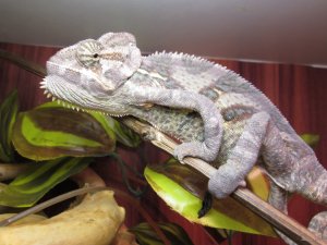IMG_0192.JPG