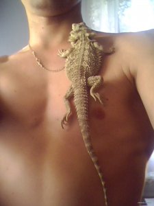 ффIMG0082A.jpg