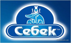 sebek logo.jpg