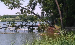 Лозовеньки 2015-07-07_07.jpg