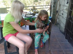 2015-07-11 09.26.51.jpg
