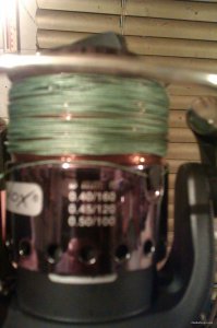 IMAG0193.jpg