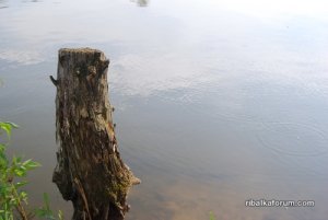DSC_0043.JPG