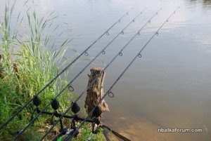 DSC_0044.JPG