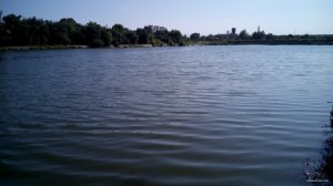 IMG_20150719_163551.jpg
