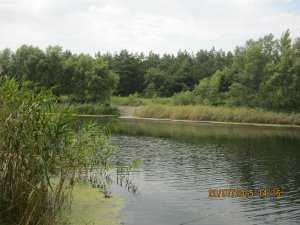 IMG_2858.JPG