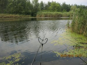 IMG_2859.JPG