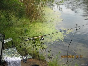 IMG_2860.JPG