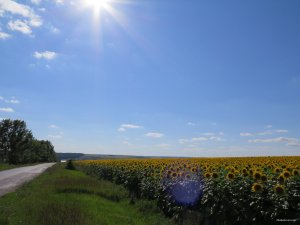 IMG_4228.JPG