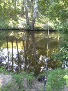 20150725_092834.jpg