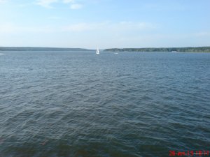 DSC01998.JPG