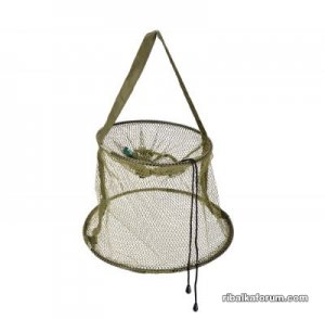 normal_Carp_Pro_________55a7b25f53238.jpg