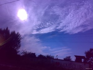29072015026.jpg