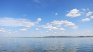 IMG_3195.JPG