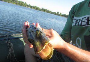 IMG_0484.JPG
