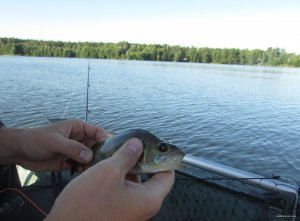 IMG_0488.JPG