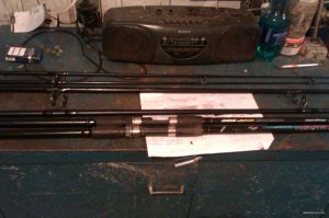 IMAG0216.jpg