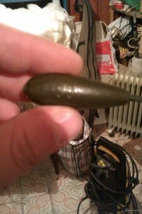 IMAG0225.jpg