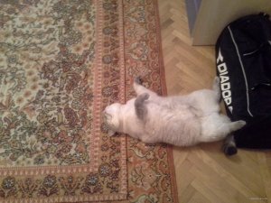 20150515_093025.jpg