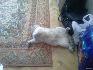 20150604_134852.jpg