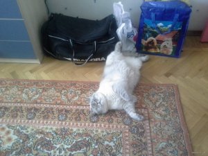 20150604_134904.jpg