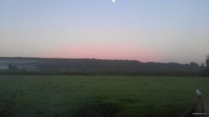 IMAG0419.jpg