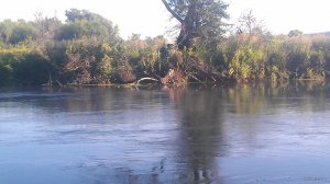 IMAG0423.jpg