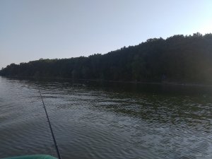 IMG_20150808_182012.jpg