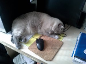 20150813_154913.jpg