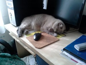 20150813_154925.jpg