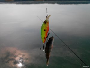 20150814093627.jpg