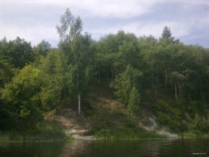 Фото4601.jpg