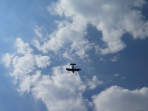 IMG_4937.JPG