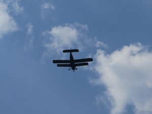 IMG_4938.JPG