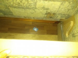 IMG_20150820_084547.jpg