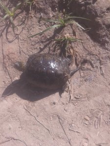 20150820_093457.jpg