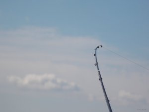 DSCN3481.JPG