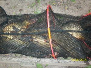 100_4780.JPG