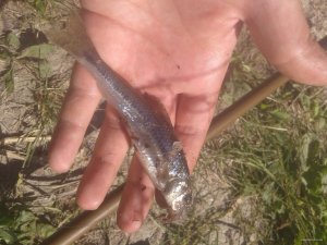 20150822_104159.jpg