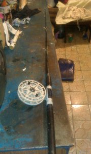 IMAG0396.jpg