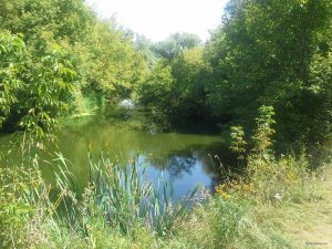 20150823_120425.jpg