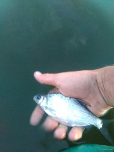 IMG_20150823_194841.jpg