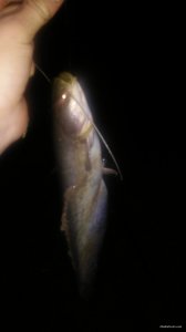 20150823_004321.jpg