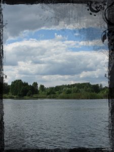 IVA51.jpg
