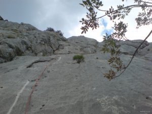 DSC02077.JPG