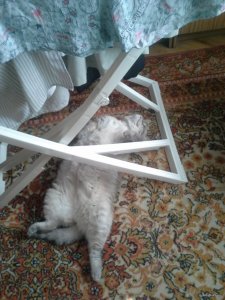 20150828_160751.jpg